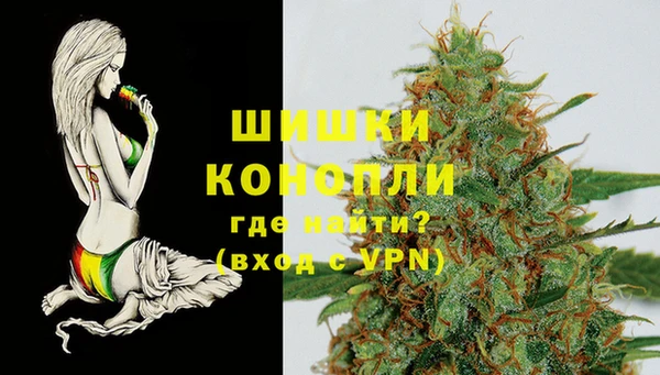 молекула духа Алзамай