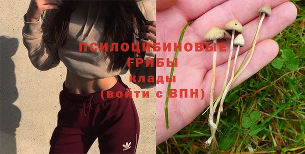стафф Абдулино