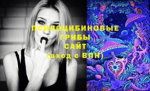 молекула духа Алзамай