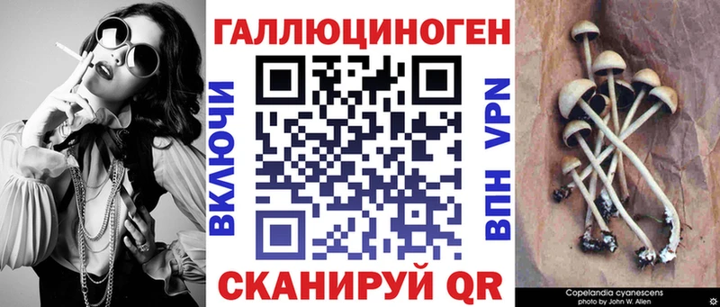 дарнет шоп  Старая Русса  кракен ссылки  Галлюциногенные грибы Psilocybe 
