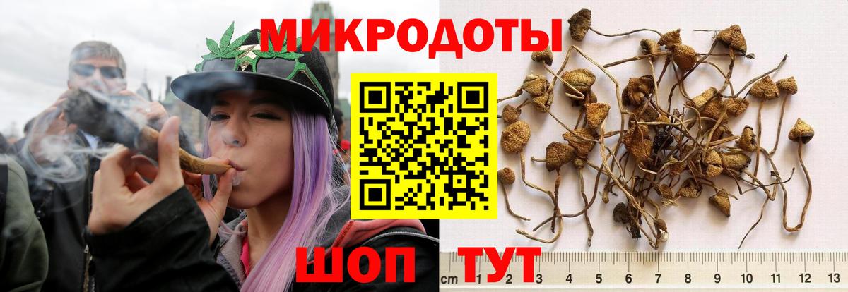 купить наркотики цена  Галлюциногенные грибы GOLDEN TEACHER  Старая Русса  Вход с VPN  Галлюциногенные грибы мухоморы 